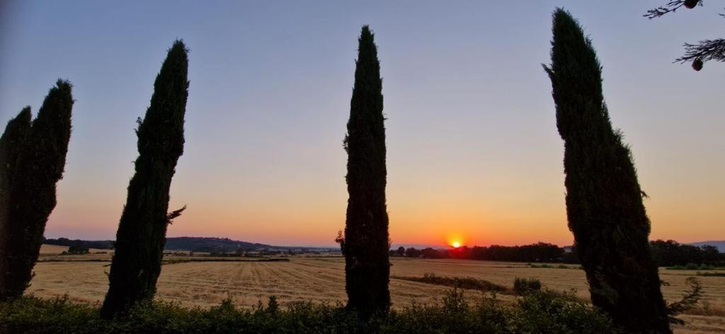 Agriturismo Il Canneto Casole dʼElsa Eksteriør bilde